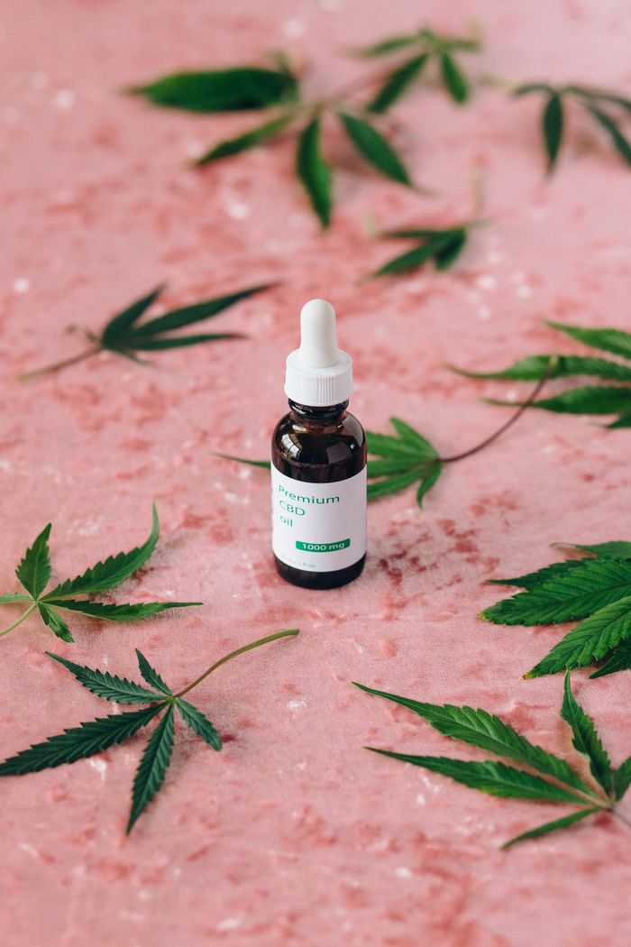 Close-up of a CBD oil dropper bottle surrounded by cannabis leaves on a pink background.